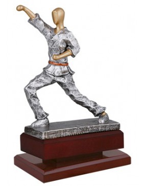 P KARATE SERIE ELITE PLATA Y ORO 27cm