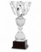 TROFEO LINEA DISENO