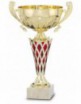 TROFEO LINEA STAR