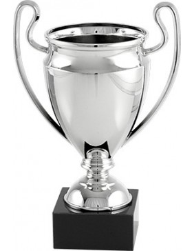 190 mm SIMIL COPA DE EUROPA PLATEADA